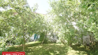 Expose stark sanierungsbedürftiges Markthaus in Niederwaldkirchen