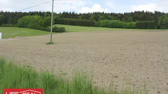 Weites Feld mit bewaldetem Hintergrund unter bewölktem Himmel, ideal für ländliche Entwicklung.