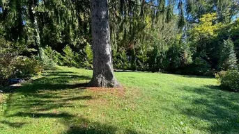 Expose Duplex 4 Zimmer Gartenwohnung in der Sternwartestraße/Nähe Türkenschanzpark