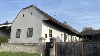 Expose Sanierungsbedürftiger Streckhof mit großem Stadel