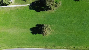 Expose Baugrundstück Steinakirchen - Nähe Golfplatz - kein Bauzwang