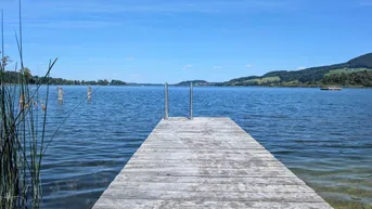 Expose Seedomizil in Bestlage am Obertrumer See: Großzügige Erstbezugs-Terrassenwohnung mit eigenem Badehaus und Steg!