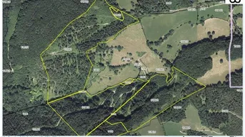 Expose Wald 28,3 ha bei Schwarzenbach/Pielach