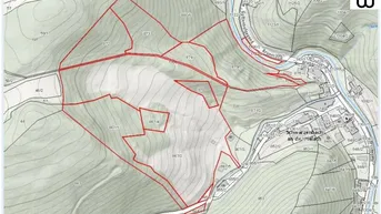 Expose Wald 8,16 ha bei Schwarzenbach/Pielach