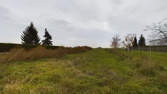 Expose Traumhaftes Baugrundstück in Niederösterreich - Platz für ZWEI Eigenheim für nur 699.000€!