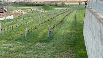 Expose Exklusives Baugrundstück in Purbach: Traumlage mit Blick auf den Neusiedler See