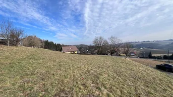 Expose Baugrundstück an der Weinstraße zu verkaufen - unverbaubarer Ausblick!