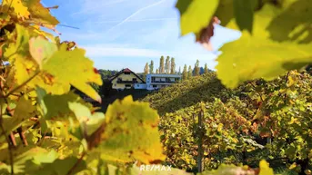 Expose INVESTOREN aufgepasst! Weingut mit Gästezimmer, drei Betriebswohnungen in Leutschacher Aussichtslage PROVISIONSFREI