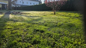 Expose Baugrund