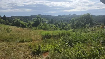 Expose Baugrund + Freiland (Weingarten) in Aussichtslage auf slowenischer Seite!