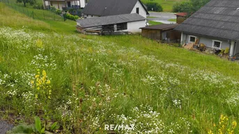 Expose Baugrund mit Ecken und Kanten- gestalten Sie Ihr Paradies