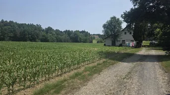Expose Bauernhaus (stark sanierungsbedürftig) mit Grund und kleinem Teich