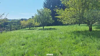 Grüne Wiese mit Bäumen unter blauem Himmel, ideal für einen naturnahen Gartenbereich.