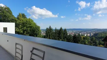 Expose Erstbezug Penthouse mit Kellerstöckl im Garten und großzügiger Terrasse Top B-W3