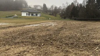 Expose Sonniger Baugrund mit angrenzender Freifläche in ruhiger Lage