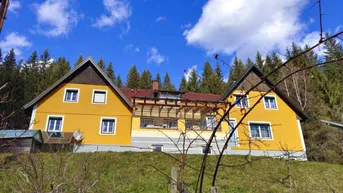 Expose Doppeltes Glück - Nähe Stausee - DREILÄNDERECK Steiermark-Kärnten-Slowenien auf 11.300 m² Grund