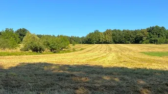 Expose Ganztagssonniger Baugrund in Aussichtslage