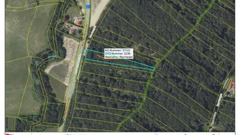 Expose Wald im Gemeindegebiet Jennersdorf - Wertanlage