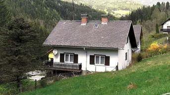 Expose Großzügiges Familien- oder Ferienhaus im Grünen