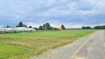 Expose Ebene, sonnige Acker- Wiesen Freilandfläche mit eigener Zufahrt in guter Lage!