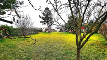 Expose Stadtgrenze Wien, nicht aufgeschlossenes Grundstück,Nähe Gänserndorf