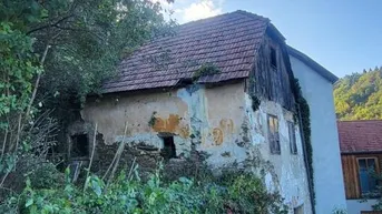 Expose Märchenhaft großes Grundstück in Handlage mit grandiosen Ausblick auf die Burgruine Rehberg in 3500 Krems an der Donau