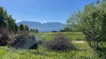 Expose Naturnahes Grundstücke mit atemberaubenden Blick in Lustenau!
