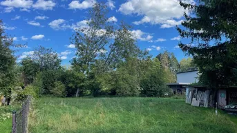 Grünes Grundstück mit Bäumen unter blauem Himmel, ideal für die Bebauung.