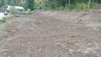 Expose Jetzt die Gelegenheit auf ein 1240m² großes Baugrundstück in Kaumberg ergreifen!!! 