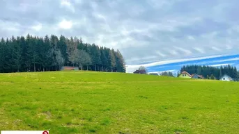 Expose Baugrundstück für Bauträger im Ausmaß von 5.696 m² mit Almcharakter