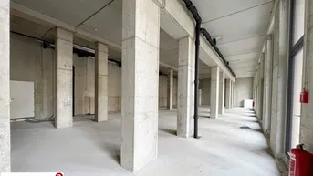 Expose Geschäftsfläche im Edelrohbau zur Vermietung – Reininghaus/Unesco Esplanade