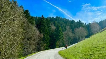 Expose Baugrundstück im Ausmaß von 2.175 m² mit Almcharakter 
Naturparadies Lavanttal