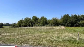 Expose Attraktives Baugrundstück in Ruhelage und Badesee Nähe