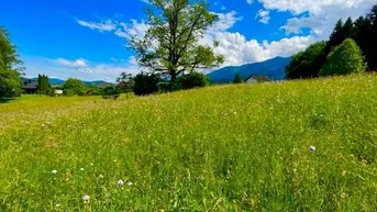 Expose Grundstücksduo in Finkenstein
Doppelparzelle - 1.216 m² leichte Hanglage 