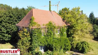 Expose HISTORISCHE VILLA IN VÖCKLABRUCK