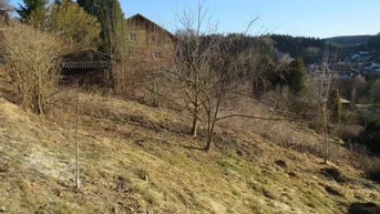 Expose Baugrund mit 1094m²