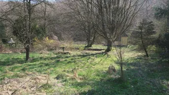 Expose Grundstücke mit Gesamtfläche 1.982m²