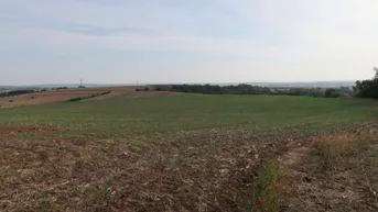 Expose Landwirtschaftliche Grundstücke (Ackerbau oder mit Büschen/Bäumen bewachsen) in Höbersbrunn
