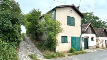 Expose Presshaus in Haugsdorf mit landwirtschaftlichen Grundstücken