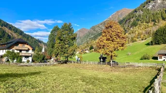 Expose Sonniges Baugrundstück in idyllischer Lage