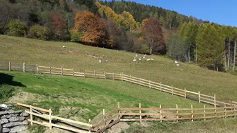 Expose Baugrundstück in sonniger Lage mit herrlichem Ausblick in Unternberg