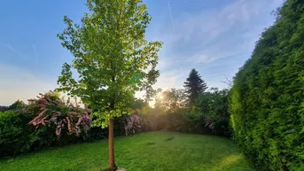 Expose 143m² WOHLFÜHLEN IN RUHIGER SACKGASSE|80m² SONNENTERRASSE|270m² GARTEN | VÖLLIG NEU EINGERICHTET