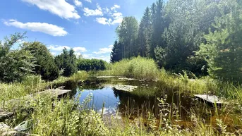 Expose GARTENPARADIES- Ländliches Idyll mit Reitplatz, Gästehaus &amp; Schwimmteich - ca. 1,2ha
