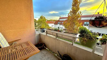 Expose TOPLAGE IN SCHWECHAT - BJ 1990 - 2 Zimmer - ca. 63 m² NFL - Loggia - Garage