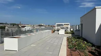 Weitläufige Dachterrasse mit modernen Pflanzgefäßen und Panoramablick über die Stadt.