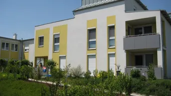 Expose Wohnung in Purbach am See