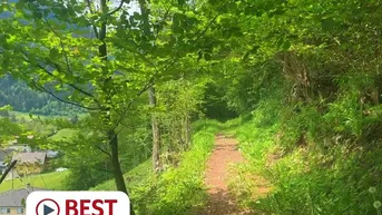 Expose Wald in Ortsnähe mit Wasserfall