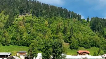 Expose Wald in Ortsnähe mit Wasserfall