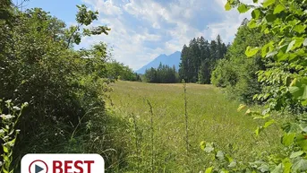 Expose Über 8.000 m2 Wiese und Wald mit Stadl