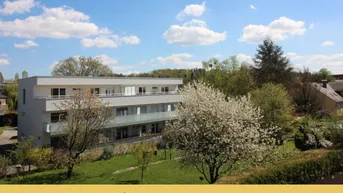 Expose Traumhafte Gartenwohnung im Herzen von St. Peter - Westausrichtung im Grünen